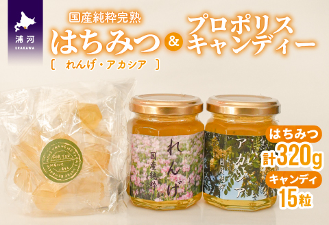 国産純粋完熟はちみつ小瓶(れんげ・アカシア)＆プロポリスキャンディーセット[16-1145]