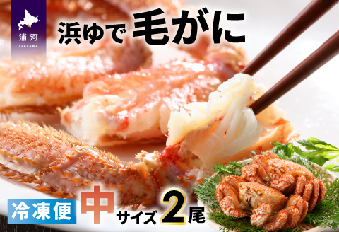 ＜冷凍＞漁協の浜ゆで毛がに 中サイズ2尾セット[02-771]
