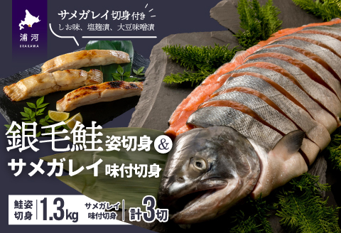 【サメガレイ切身付】銀毛鮭姿切身(グリーンパーチ巻)[01-1257]