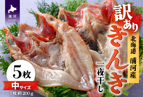 【訳アリ】浦河前浜産 きんき一夜干し(中サイズ)約200g×5枚[02-1327]