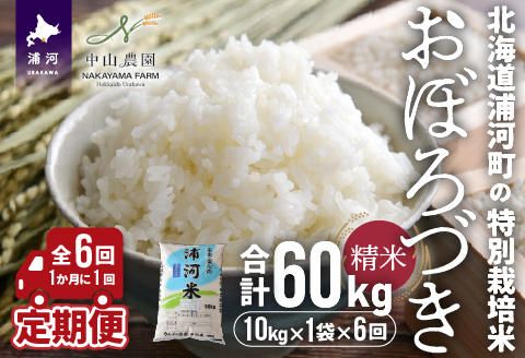 北海道浦河町の特別栽培米「おぼろづき」精米(10kg×1袋)定期便(全6回)[37-1171]