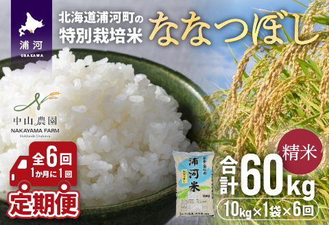 浦河の特別栽培米「ななつぼし」精米(10kg×1袋)定期便(全6回)[37-1172]