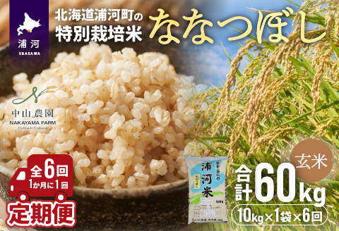 浦河の特別栽培米「ななつぼし」玄米(10kg×1袋)定期便(全6回)[37-1174]