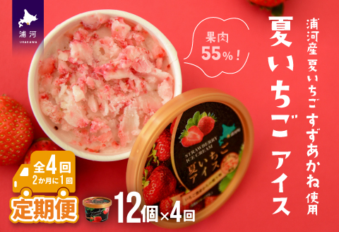 果肉55%「夏いちごアイス(12個)」【全4回定期便】[22-999]