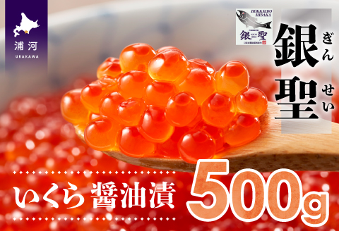 前浜産 ブランド銀毛鮭(天然)「銀聖」いくら醤油漬(500g×1箱)[02-218]