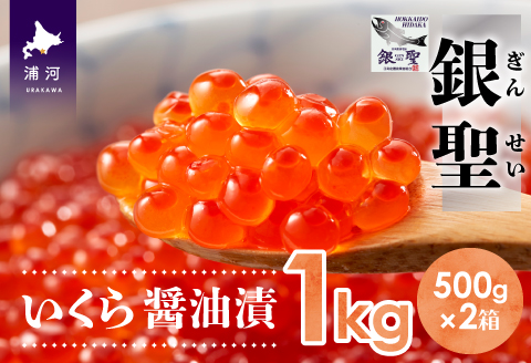 前浜産 ブランド銀毛鮭(天然)「銀聖」いくら醤油漬(500g×2箱)[02-298]