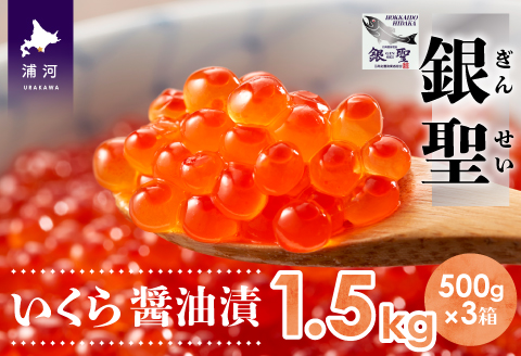 前浜産 ブランド銀毛鮭(天然)「銀聖」いくら醤油漬(500g×3箱)[02-562]