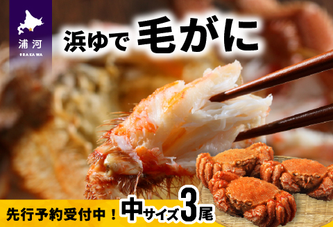 【先行受付開始！】漁協の浜ゆで毛がに 中サイズ３尾セット※日付指定対応不可※[02-174]