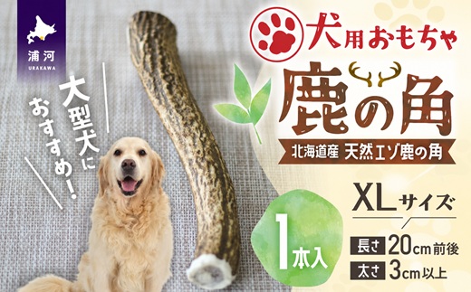 犬用「鹿の角」XLサイズ×1本[53-1635]