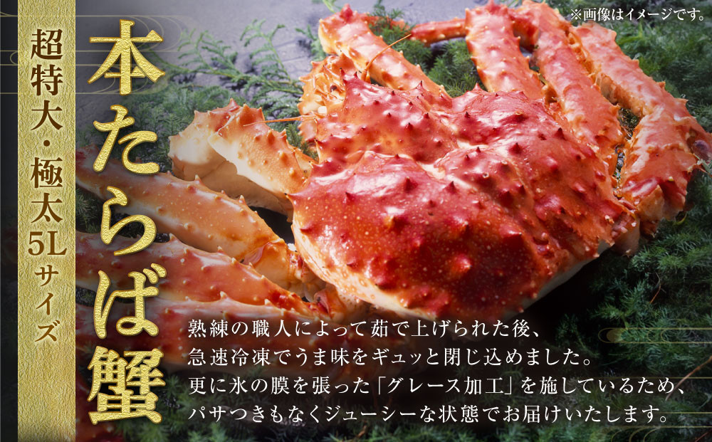 【超特大・極太5L】本たらば蟹ボイル脚 1kg×2　計2kg　