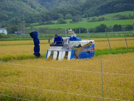 【R7年産新米】北海道産特別栽培米 アポイ米（ななつぼし）10kg（5kg×2袋）