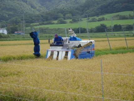 【R7年産新米】北海道産特別栽培米 アポイ米（ななつぼし）25kg（5kg×5袋）