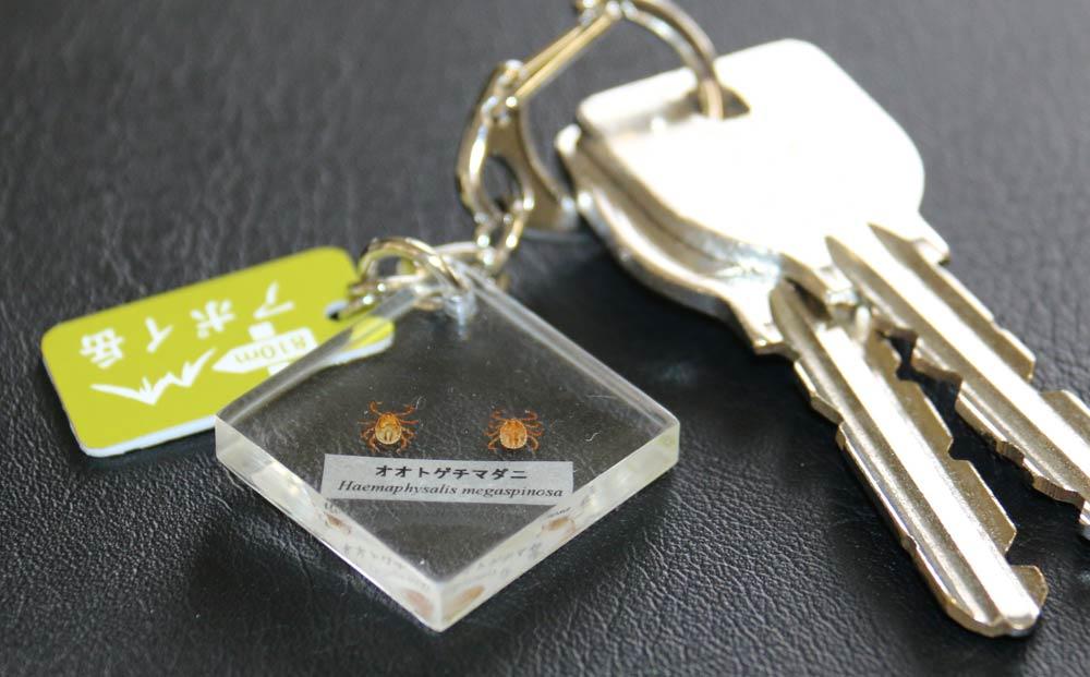 根性つきます マダニキーホルダー