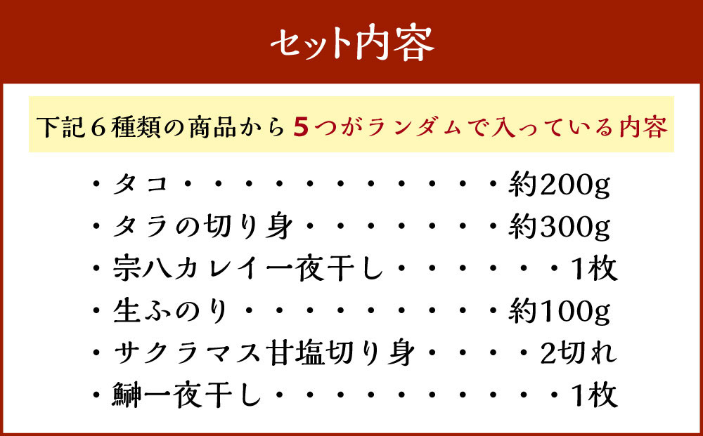 カネオ成栄丸のおまかせお魚BOX 美海(5種）