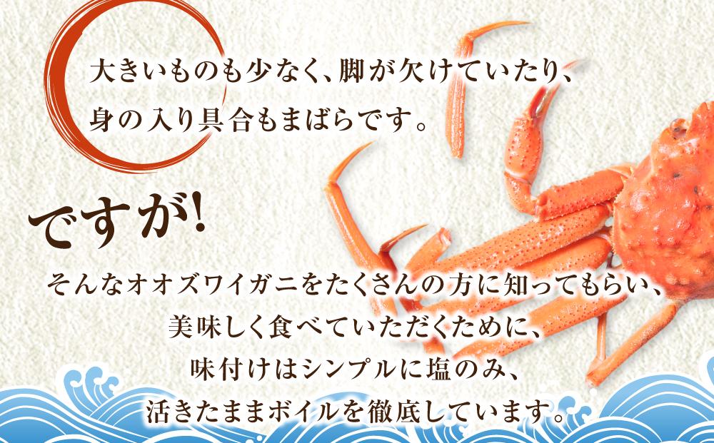 「訳あり」オオズワイガニボイル　中サイズ　3～4尾　約900g