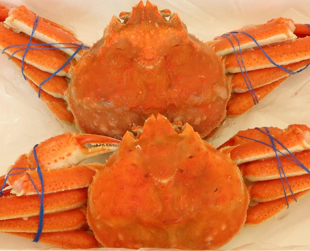 「訳あり」オオズワイガニボイル　4尾　合計約1.8kg