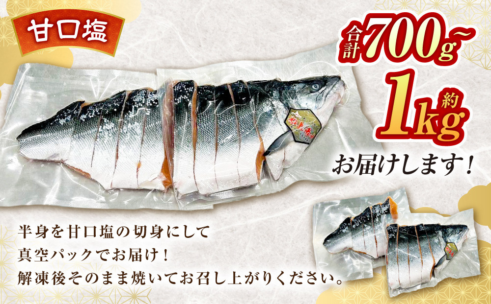 本鱒（サクラマス）船上活〆半身切り身【甘口塩】（半身約700g～1000g）