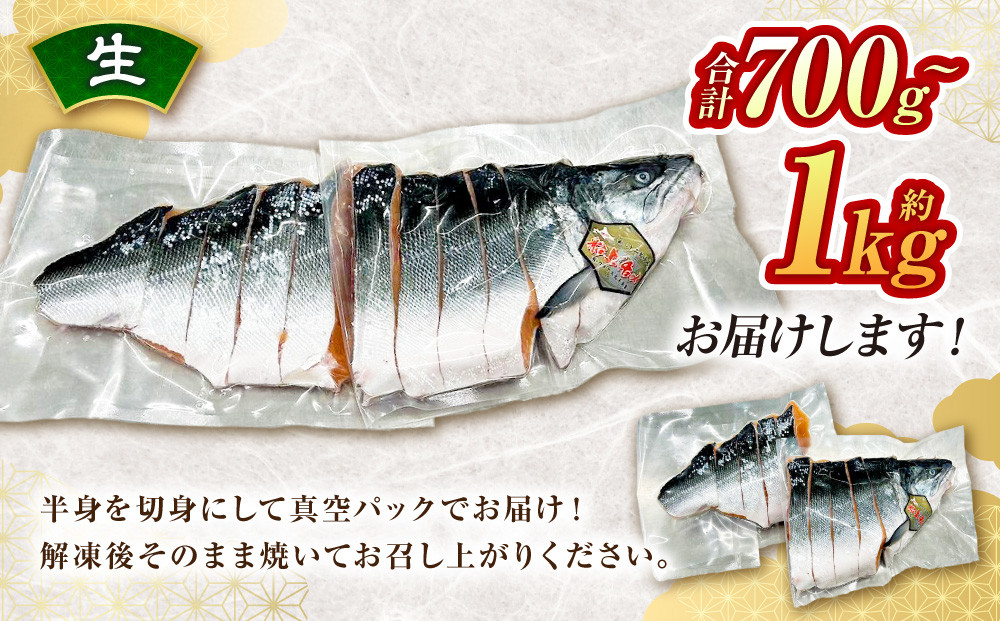 本鱒（サクラマス）船上活〆半身切り身【生】（半身約700g～1000g）