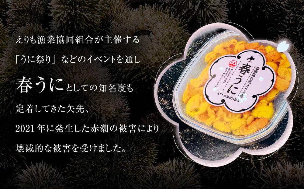 【えりも漁協】北海道様似産エゾバフンウニ　春うに塩水パック　100ｇ×１パック