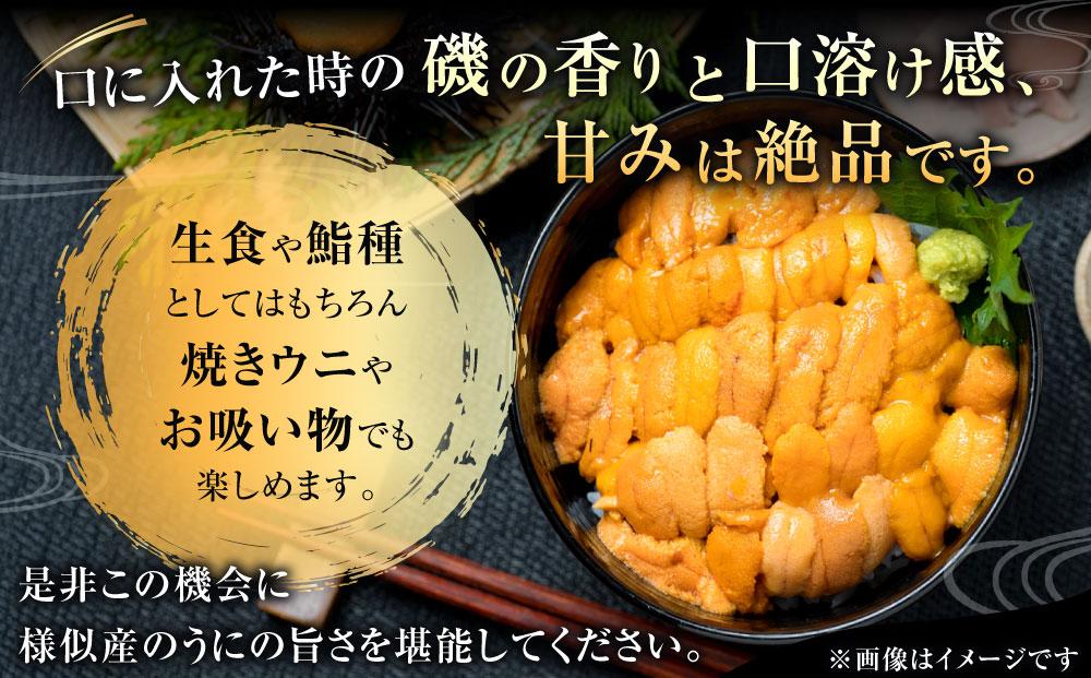 【えりも漁協】北海道様似産エゾバフンウニ　春うに塩水パック　100ｇ×１パック