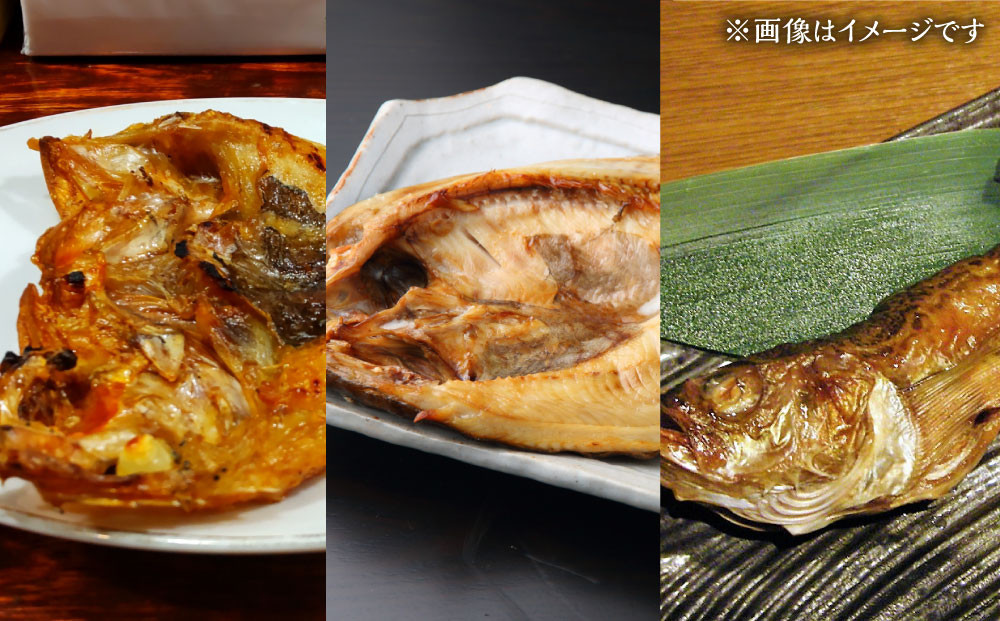 カネオ成栄丸のおまかせお魚BOX 海月(6種）