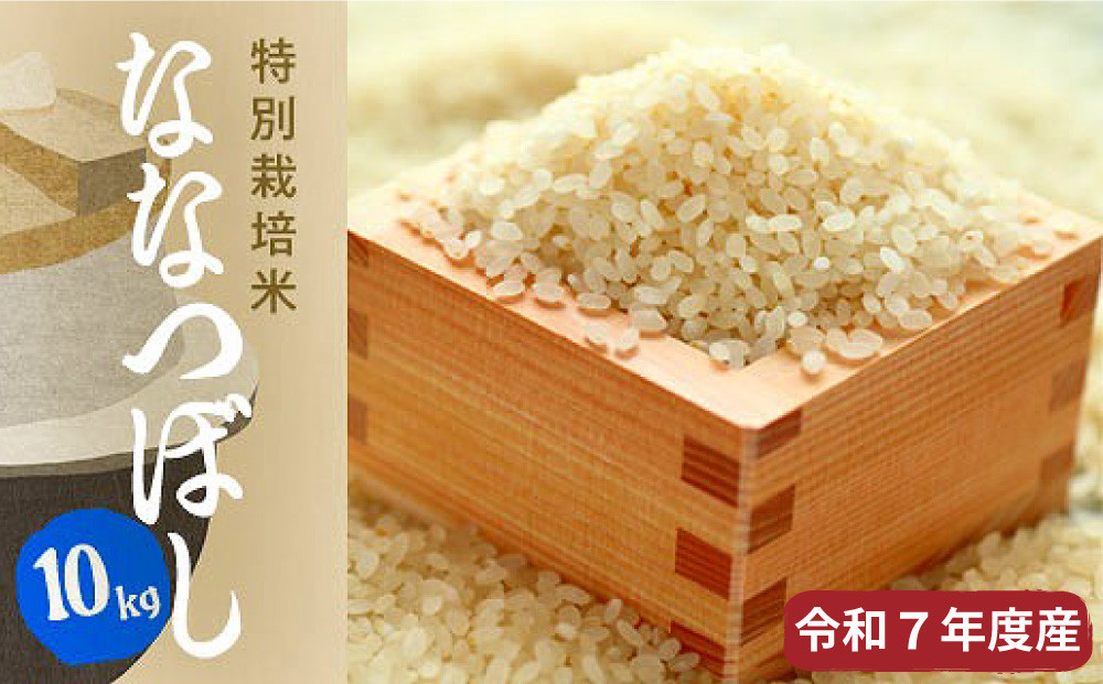 【R7年産新米】北海道産特別栽培米 アポイ米（ななつぼし）10kg（5kg×2袋）