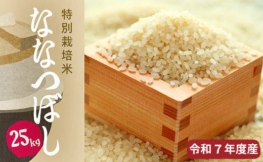 【R7年産新米】北海道産特別栽培米 アポイ米（ななつぼし）25kg（5kg×5袋）