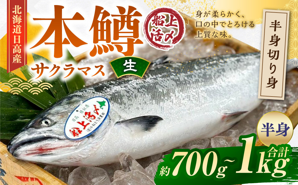 本鱒（サクラマス）船上活〆半身切り身【生】（半身約700g～1000g）