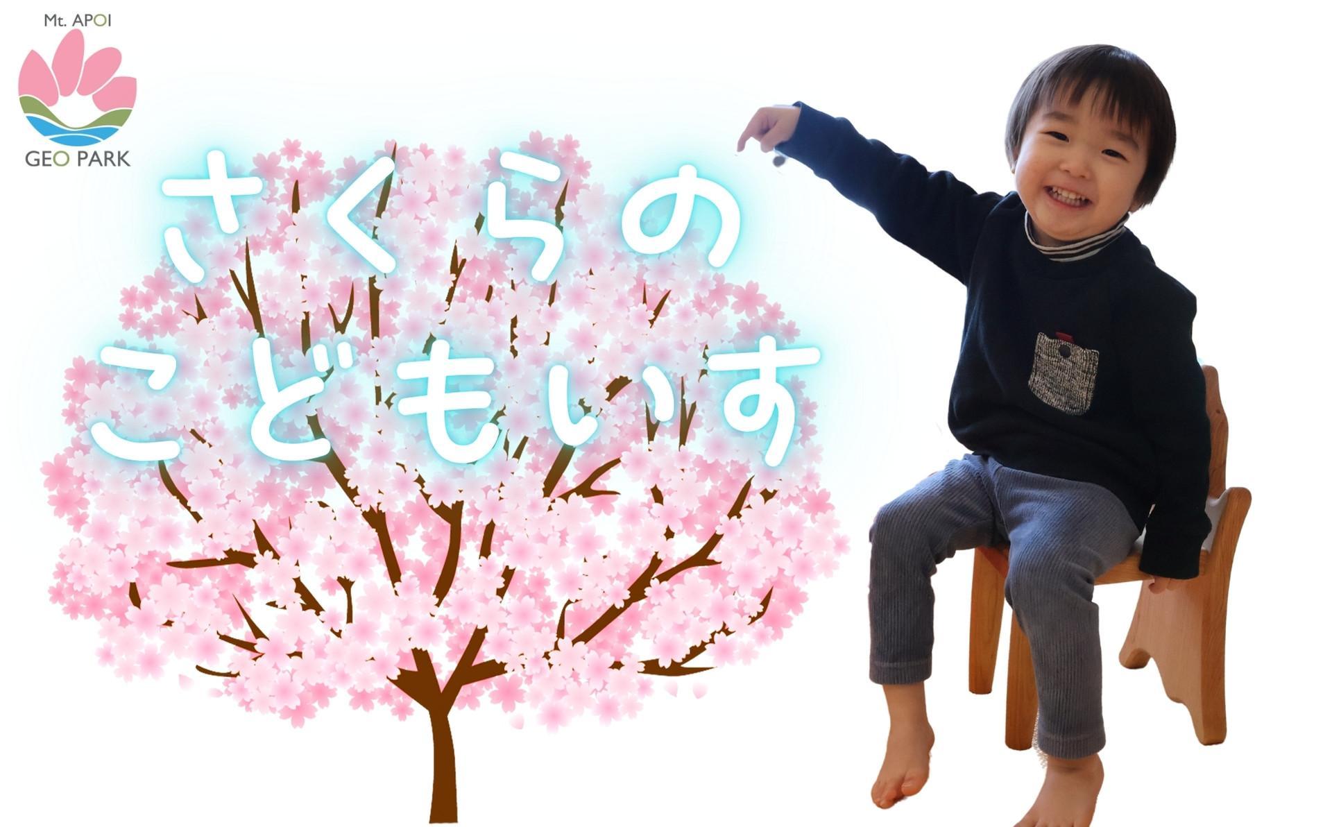 エゾヤマザクラの子供用木製椅子【樹木デザイン】