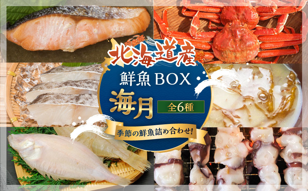 カネオ成栄丸のおまかせお魚BOX 海月(6種）