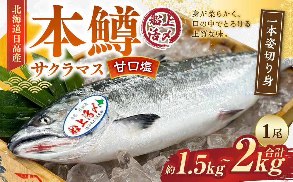 本鱒（サクラマス）船上活〆1本姿切り身【甘口塩】（1尾分1.5kg～2kg）