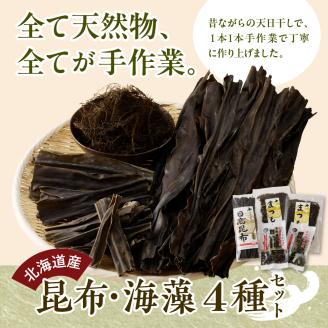 北海道産 昆布・海藻セット【er004-001】