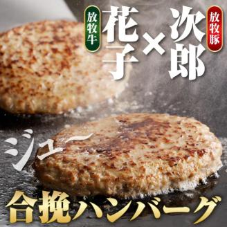 【2024年11月以降発送分】肉汁が溢れ出る 放牧牛放牧豚のハンバーグ【er008-007】