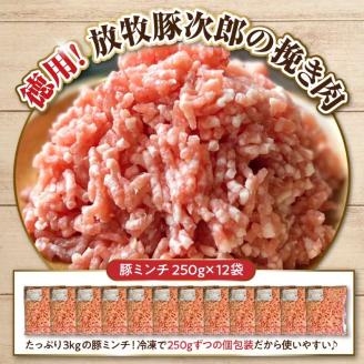 徳用豚ミンチ！放牧豚次郎の挽き肉3kg！【er008-009】