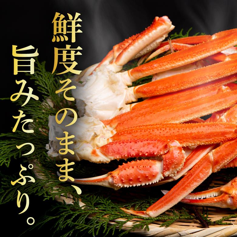 ずわいがに（脚肉） 約2kg【er001-050-c】