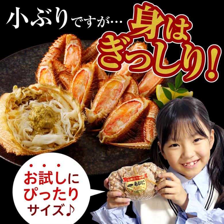 北海道産活蒸し毛蟹約250g～約290g×2尾【er001-108-a】