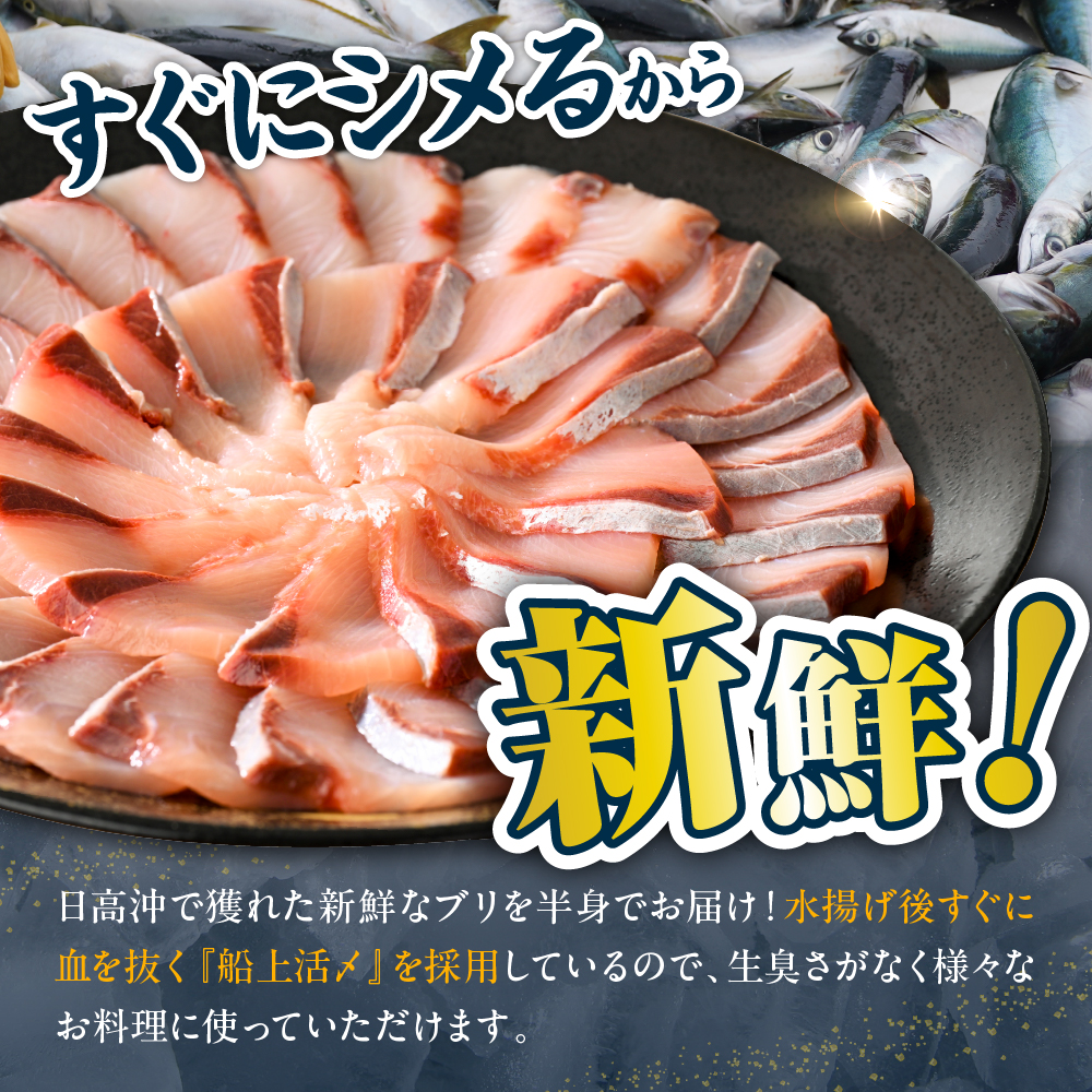 えりも【マルデン特製】(ワンフローズン)北海道日高産ぶり半身1kg～1.2kg【er002-076-b】