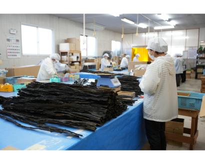 天然日高昆布１等５００ｇ（化粧箱入）【er001-036】