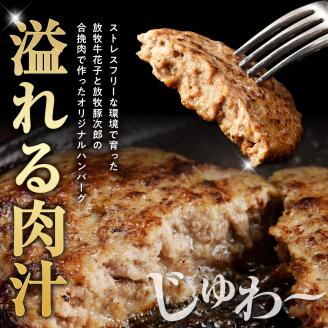 【2024年11月以降発送分】肉汁が溢れ出る 放牧牛放牧豚のハンバーグ【er008-007】