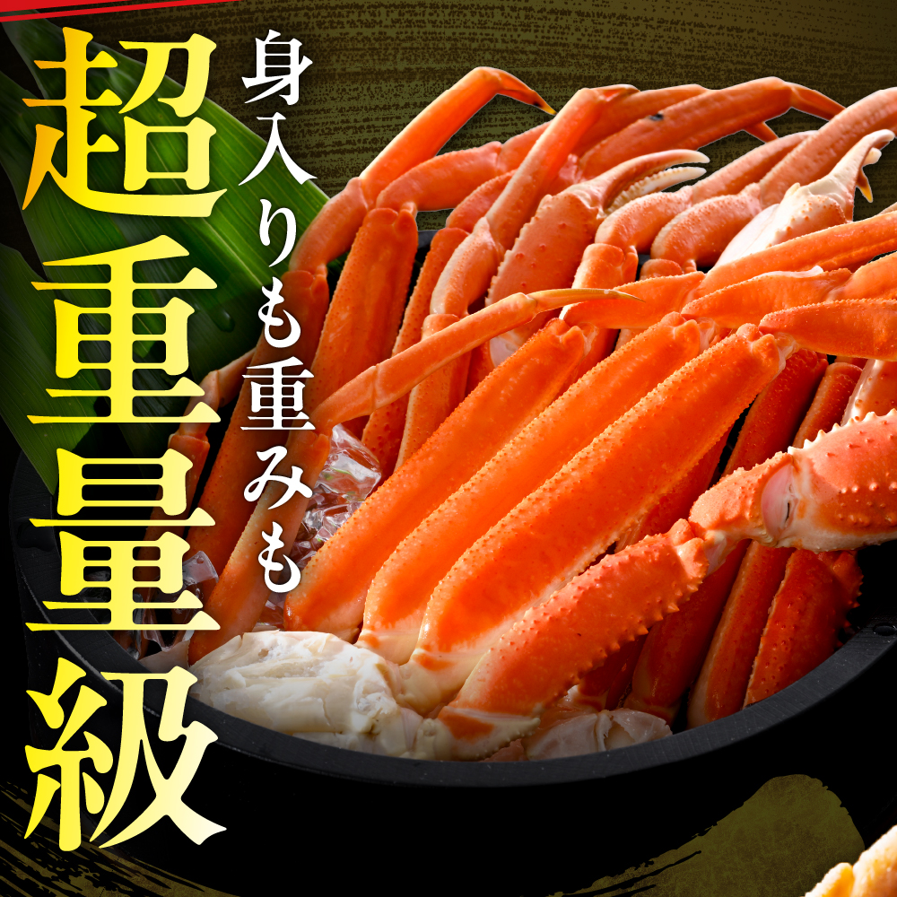 本ズワイガニ5肩（約2㎏）