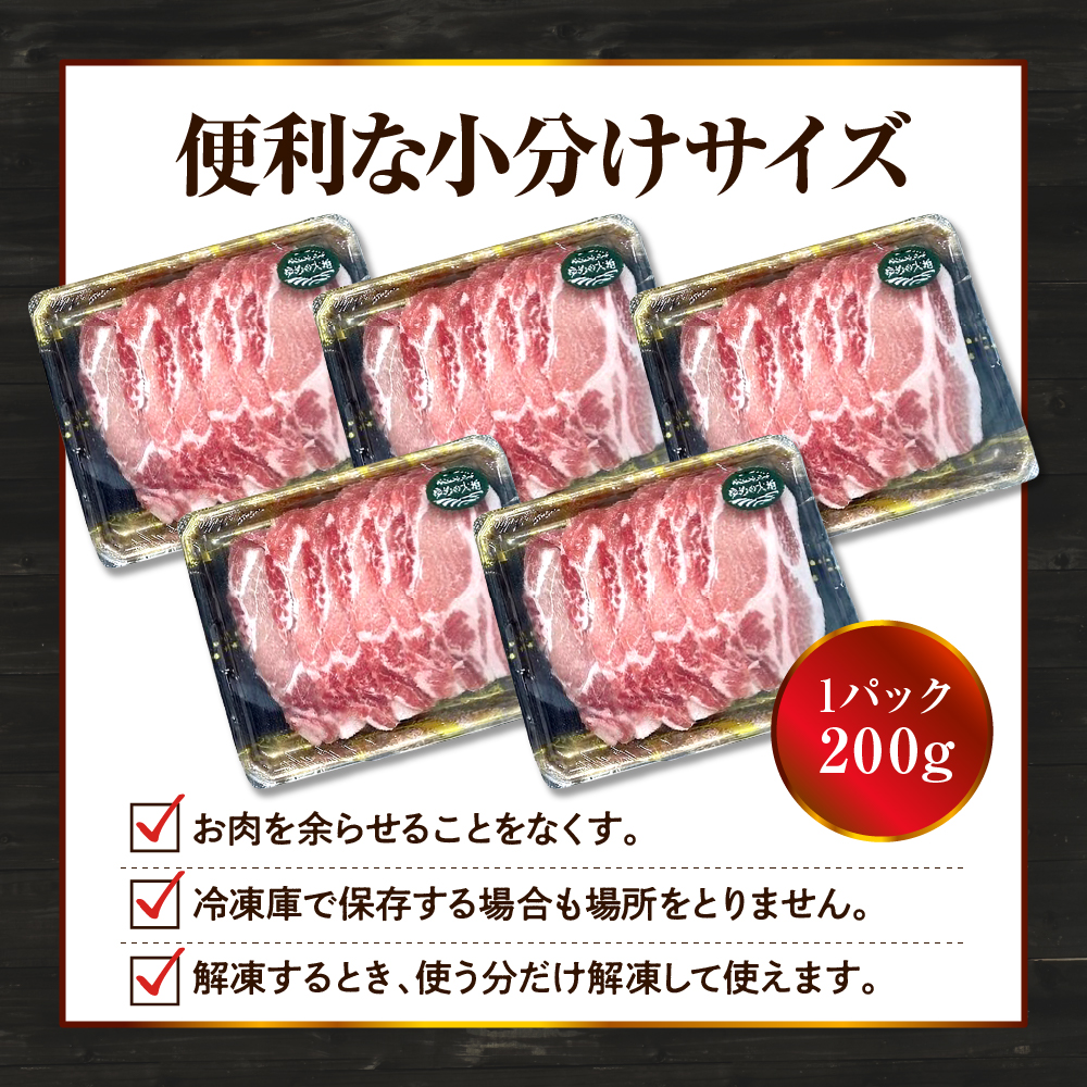 【えりも町生まれ 四元豚】ゆめの大地豚ローススライス200g×5パック 計1kg【er020-001】