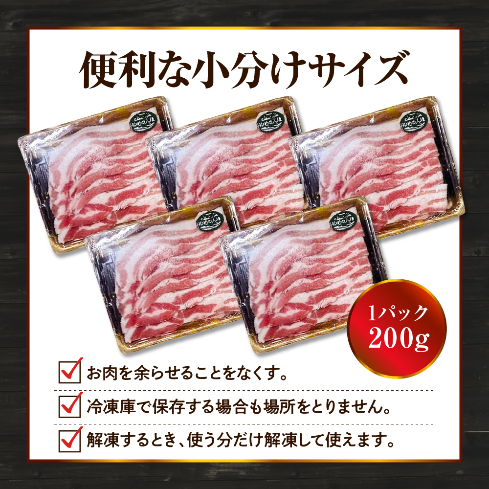 【えりも町生まれ 四元豚】ゆめの大地豚バラスライス200g×5パック計1kg【er020-004】