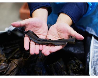 えりも産日高根昆布セット(日高昆布800g、昆布粉末160g【er001-002】