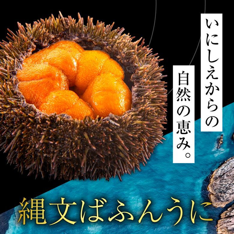 縄文ばふんうに（日高昆布入）80g【塩水ウニ】【er001-037】