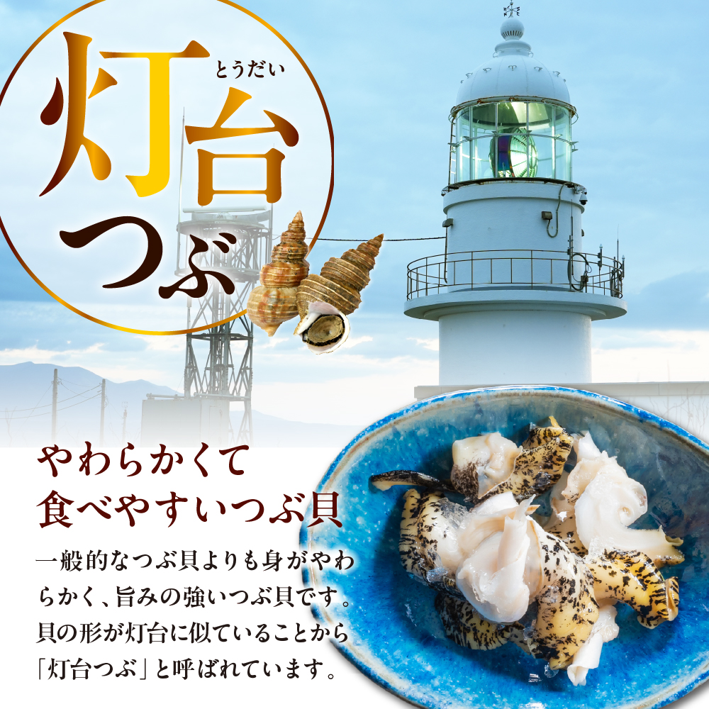 やわらかつぶ貝入り松前漬 500g【er001-094】