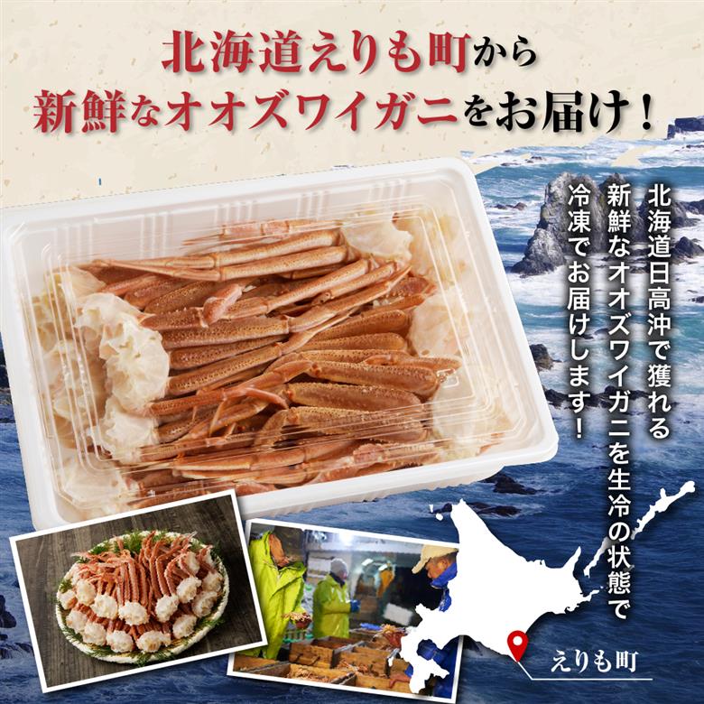 えりも【マルデン特製】生冷オオズワイガニセクション1kg【er002-049-a】