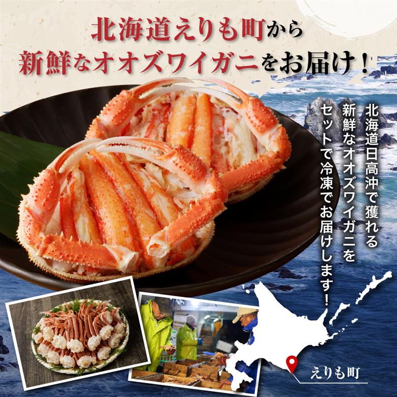 えりも【マルデン特製】訳ありオオズワイガニセット2kg（生冷1kg・ボイル1kg）【er002-052-a】