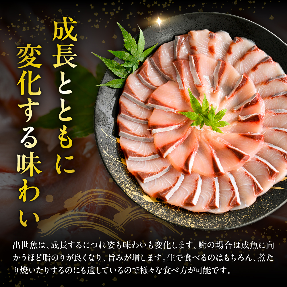 えりも【マルデン特製】(ワンフローズン)北海道日高産ぶり半身1.2kg～1.4kg【er002-077-b】