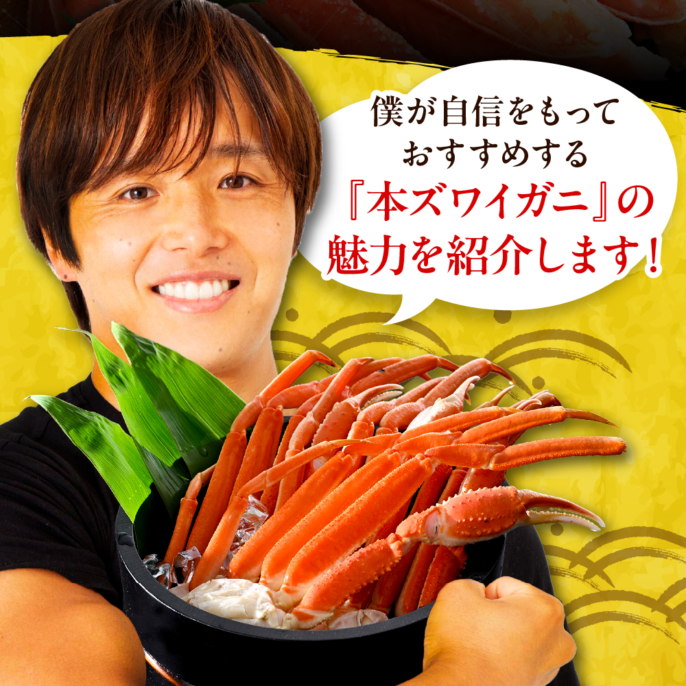本ズワイガニ5肩（約2㎏）