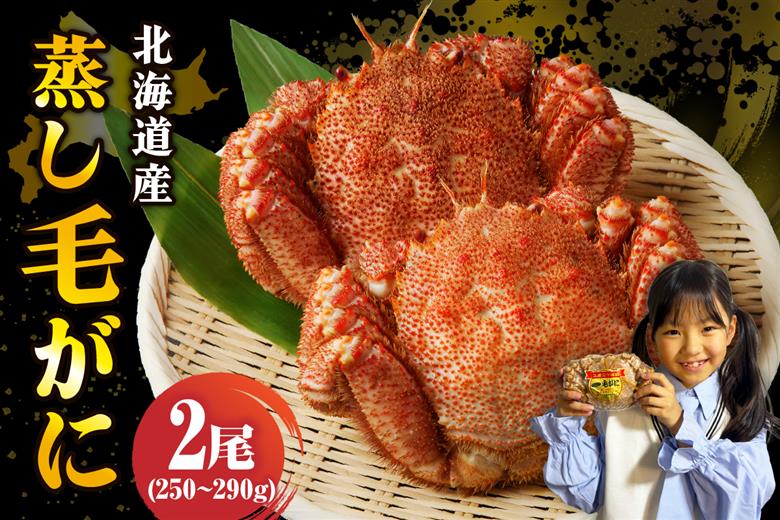 北海道産活蒸し毛蟹約250g～約290g×2尾【er001-108-a】